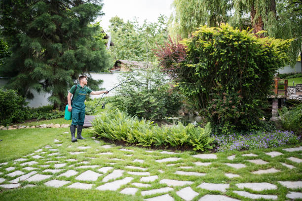 Best Hazardous Tree Removal  in Bakersfield, CA